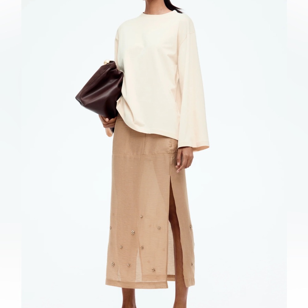 Embellished sheer skirt